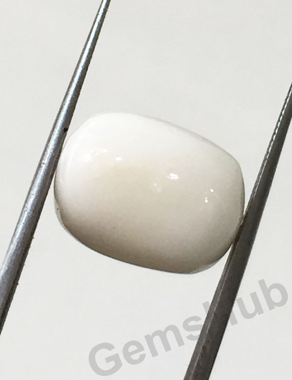 11.25 ratti/10.10 ct Natural Certified  White Coral/सफ़ेद मूंगा
